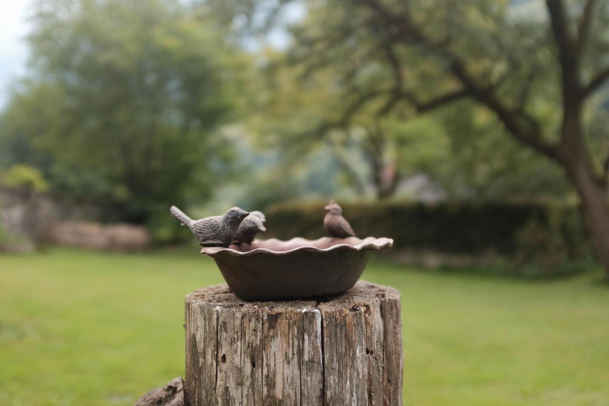 Bed and Breakfast Gorska Roza Log pod Mangartom Zewnętrze zdjęcie